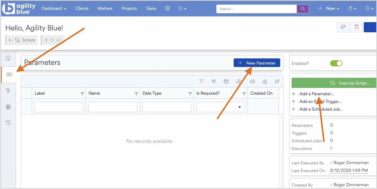 User interface showing parameters with options to add new parameters and execute scripts.